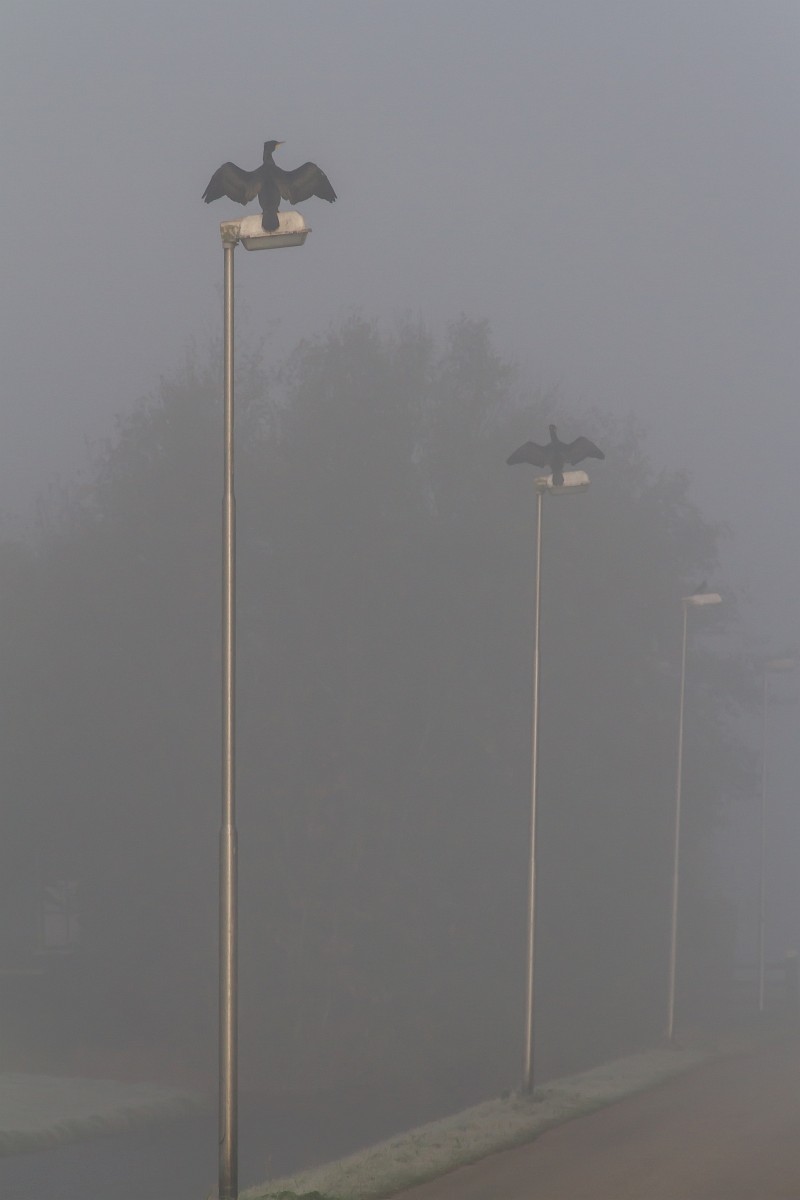 foto: [20191110PV0295]